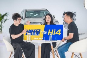 汽车人通常驾驶哪种类型的汽车？有什么特别要求？
