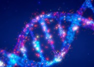 谷歌DeepMind发布DNA序列模型AlphaGenome，可分析1兆碱基，直击疾病根源