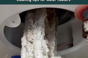 如何节约热水器清洗费用（省钱小技巧分享，让你的热水器清洗更经济实惠）