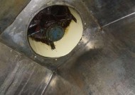 杨浦区饭店油烟机清洗方法（保持饭店厨房环境干净整洁的关键）