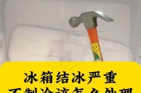 冬天使用冰柜不制冷的原因及解决方法（冬天为什么冰柜不制冷）