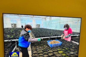 索尼电视xr-75x91k玩游戏的设置方法是什么？