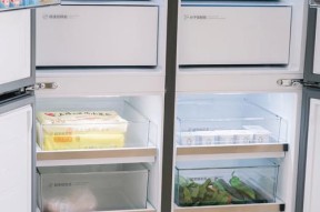 冰箱软冻室失去制冷功能的原因和解决方法（揭秘软冻室失去制冷功能的隐藏危机）