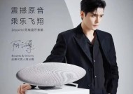 飞艇音箱重置步骤及注意事项是什么？