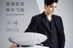 飞艇音箱重置步骤及注意事项是什么？