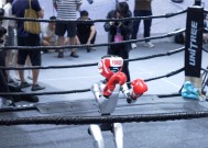 人形机器人进入 3 万元时代：WRC 2025 的产业化分水岭