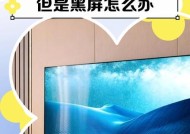 解决投影仪电源错误的方法（投影仪电源故障的原因及解决方案）