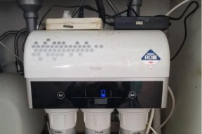 净水器缺少保护装置的危害与解决方案（保护装置的重要性及应对措施）