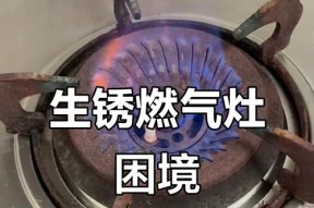 燃气灶螺丝生锈的修理方法（解决燃气灶螺丝生锈问题，恢复正常使用）