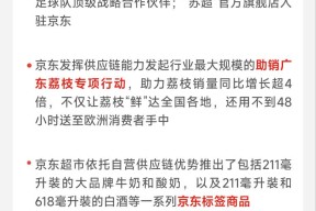 京东集团2025年二季度收入同比增速再创近三年新高 核心零售业务保持加速增长新业务达成初期战略目标