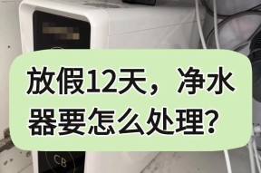 厨房净水器渗水解决方法（有效应对厨房净水器渗水问题）