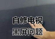 电视机黑屏启动问题的修复方法（解决电视机启动后出现黑屏的有效技巧）