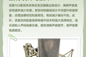 纽曼相机麦克风性能如何？选择时应注意哪些问题？