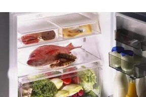 冰箱冷藏室结冰的原因与解决方法（冷冻食品和冷气的影响及如何预防冰箱冷藏室结冰）
