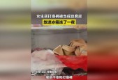 怎样修复冰箱冷冻皮破损的方法（保护冷冻皮）