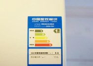 博世热水器红灯闪烁原因及解决方法（探究博世热水器红灯闪烁的故障源，帮你解决热水器问题）