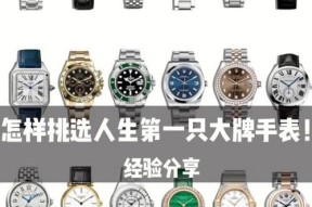 苹果手机返厂后重新连接手表的步骤是什么？