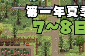 实况卡网卡功能是什么？如何正确使用？