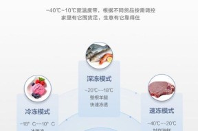冰柜冷冻的调理方法（科学冷冻，保鲜更长久）