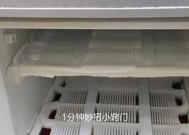 用饮料瓶自制冰柜，轻松享受冷饮乐趣（创意DIY）