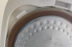 米家电饭煲维修安装指南（小米智能电饭煲的维修故障排除和正确安装方法）