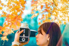 手机相机镜头角度调整方法是什么？如何拍出理想照片？