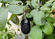 电动车改装音箱的后果是什么？