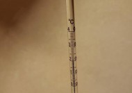 如何修理鱼缸温度显示器（解决鱼缸温度显示器故障的有效方法）