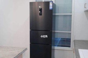 小天鹅冰箱E6故障解决方法（一起了解小天鹅冰箱E6故障及其解决方案）