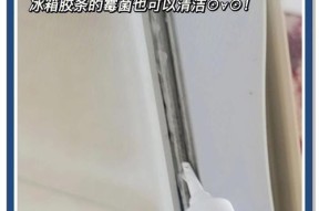 滚筒洗衣机胶圈发霉清洗方法（细节之中的清洁，让洗衣机洁净如新）