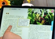 通过版本号查询平板电脑的方法是什么？能查到哪些信息？