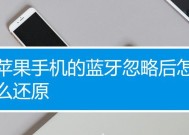 苹果家庭蓝牙控制机的使用方法是什么？使用中遇到问题怎么解决？