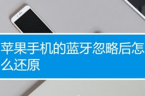 苹果家庭蓝牙控制机的使用方法是什么？使用中遇到问题怎么解决？