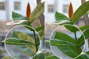 小米滤镜使用教程是怎样的？