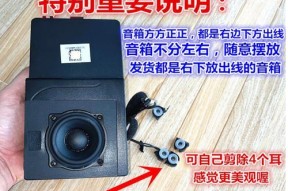 人声音箱与功放搭配技巧是什么？