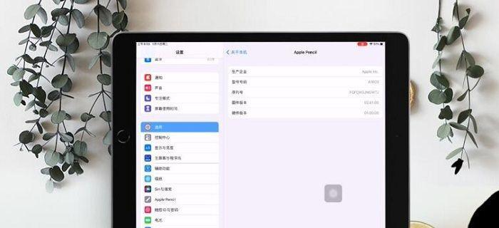 如何通过序列号在苹果iPad官网查询设备信息（快速获取iPad设备信息的有效方法）  第1张