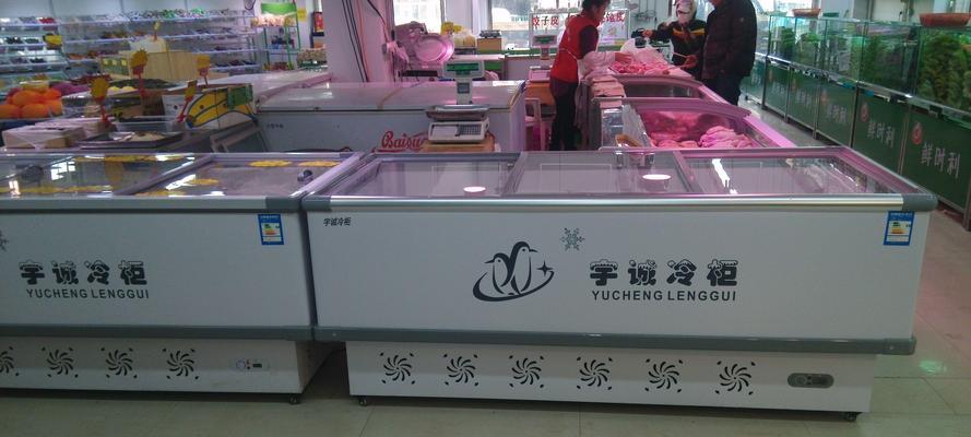 白雪冰柜维修价格大揭秘（了解白雪冰柜维修价格）  第1张