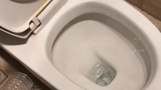 解决马桶下水特别慢的方法（如何快速处理堵塞的马桶下水问题）  第2张
