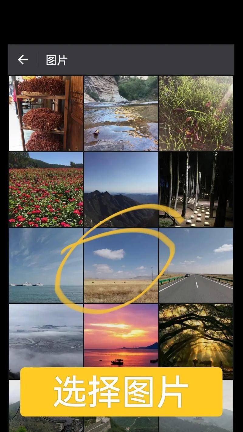 手机拍照视频保存方法是什么？  第2张