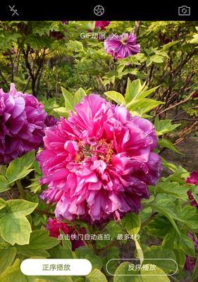 拍照手机为什么会抖动？抖动的原因是什么？  第1张