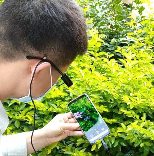 旅游主播摄像头使用技巧有哪些？手机拍照效果如何优化？  第3张