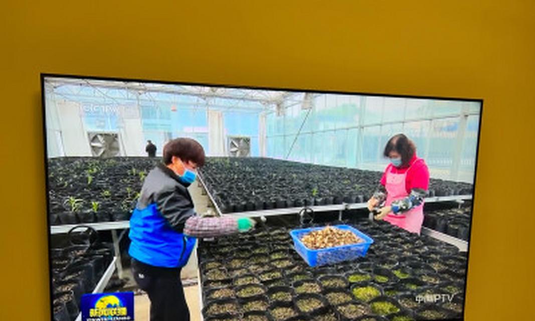 索尼电视xr-75x91k玩游戏的设置方法是什么？  第1张
