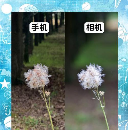 佳能相机曝光效果调整技巧？如何拍出理想的照片？  第2张