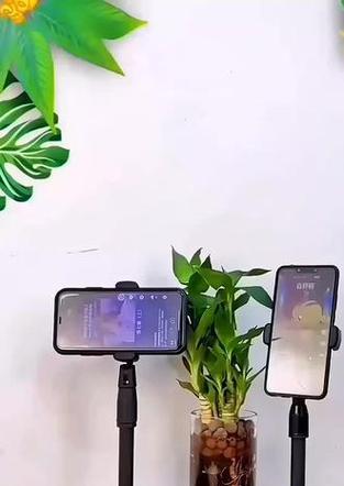 吸磁盘手机支架使用中遇到问题怎么办？  第1张