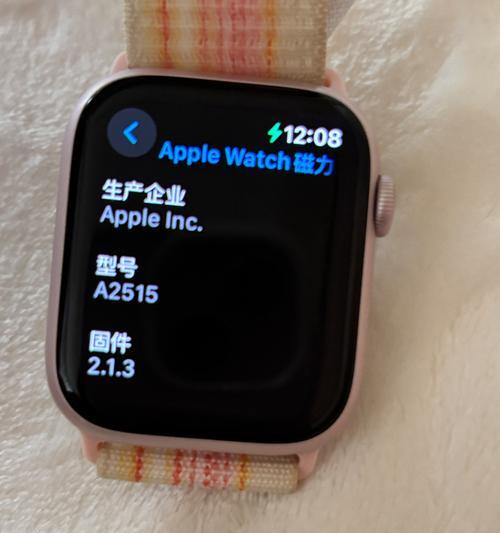 苹果手表充电问题如何解决？  第2张