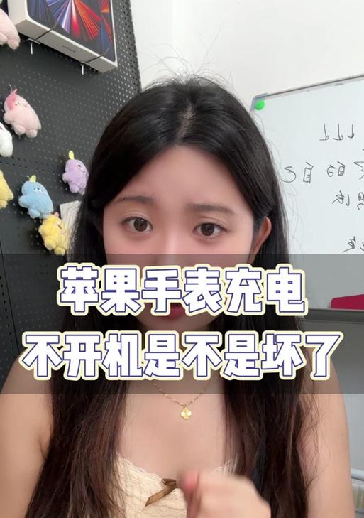 苹果手表充电问题如何解决？  第3张