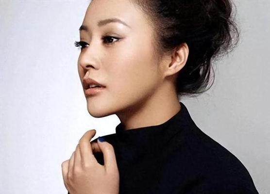 郝蕾参演过哪些电视作品？这些电视有何亮点？  第1张
