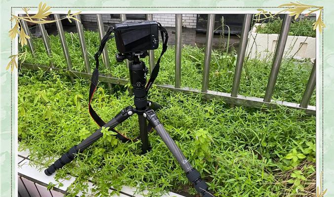 相机三脚架如何正确放置图片？操作步骤是什么？  第1张
