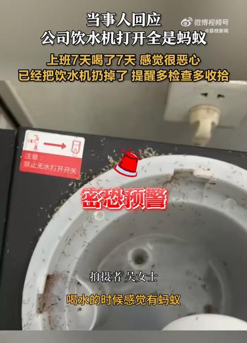 中央空调里有蚂蚁怎么办？（解决办法与预防措施，）  第3张