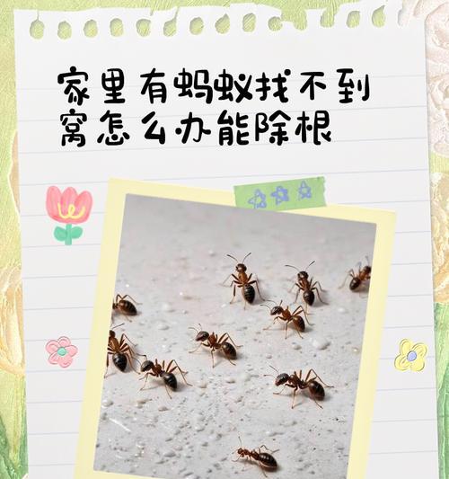 中央空调里有蚂蚁怎么办？（解决办法与预防措施，）  第2张